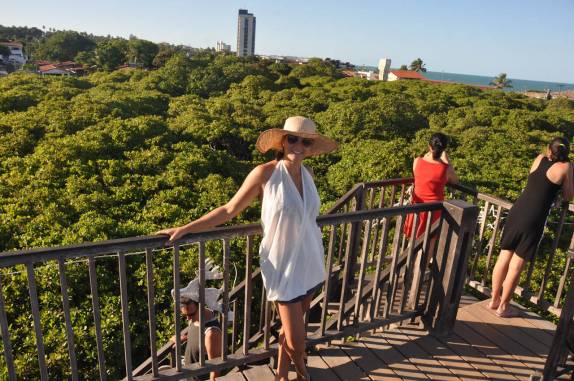 Admirando a gigantesca copa do maior cajueiro do mundo, em Pirangi - RN